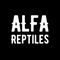 alfareptiles