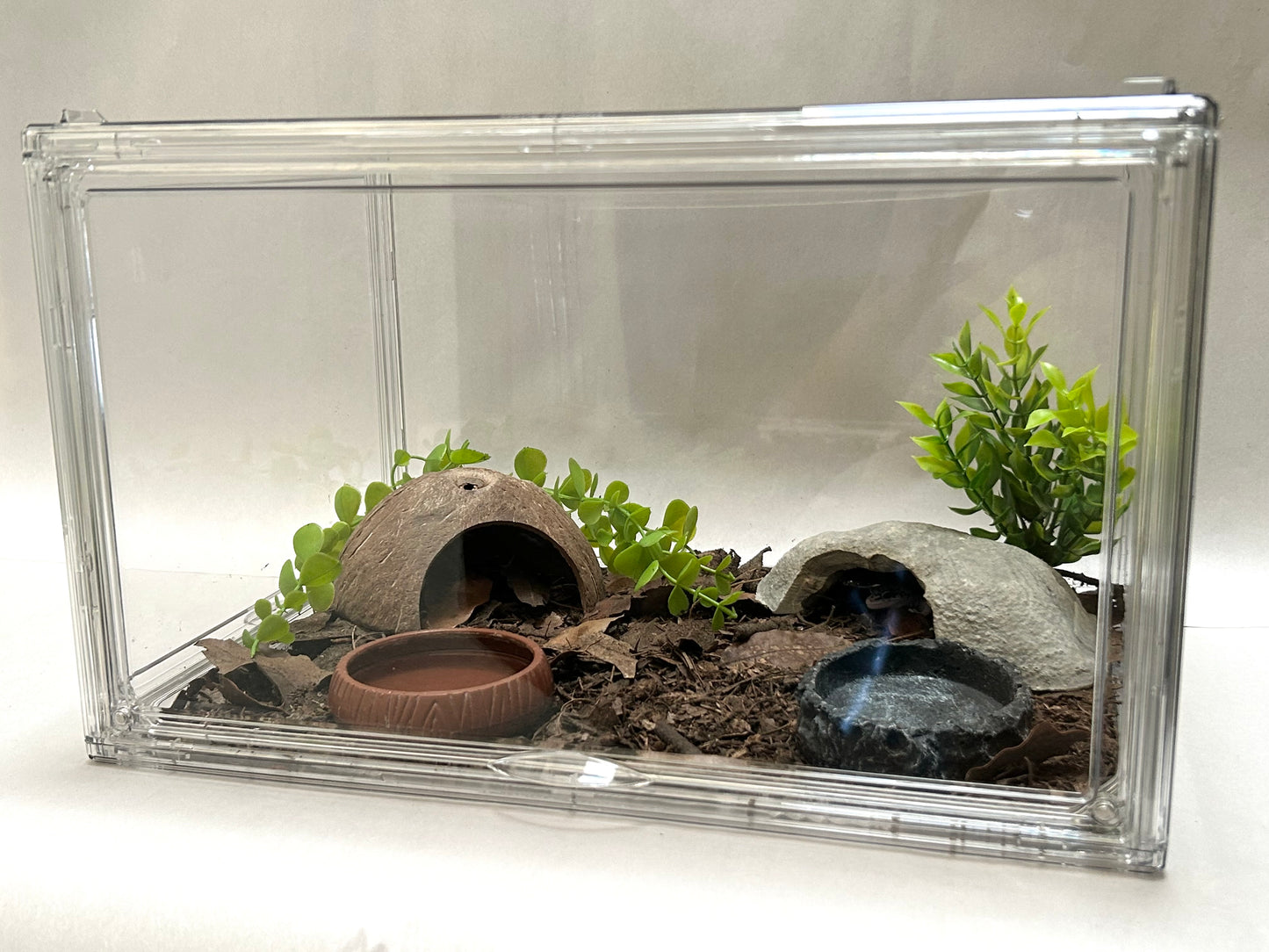 Terrario todo incluido