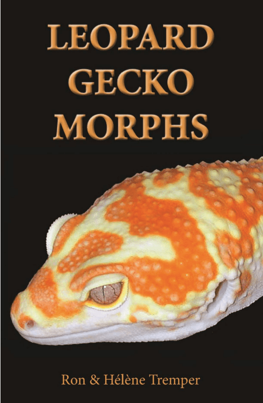 E-book "Leopard gecko morphs" - alfareptiles