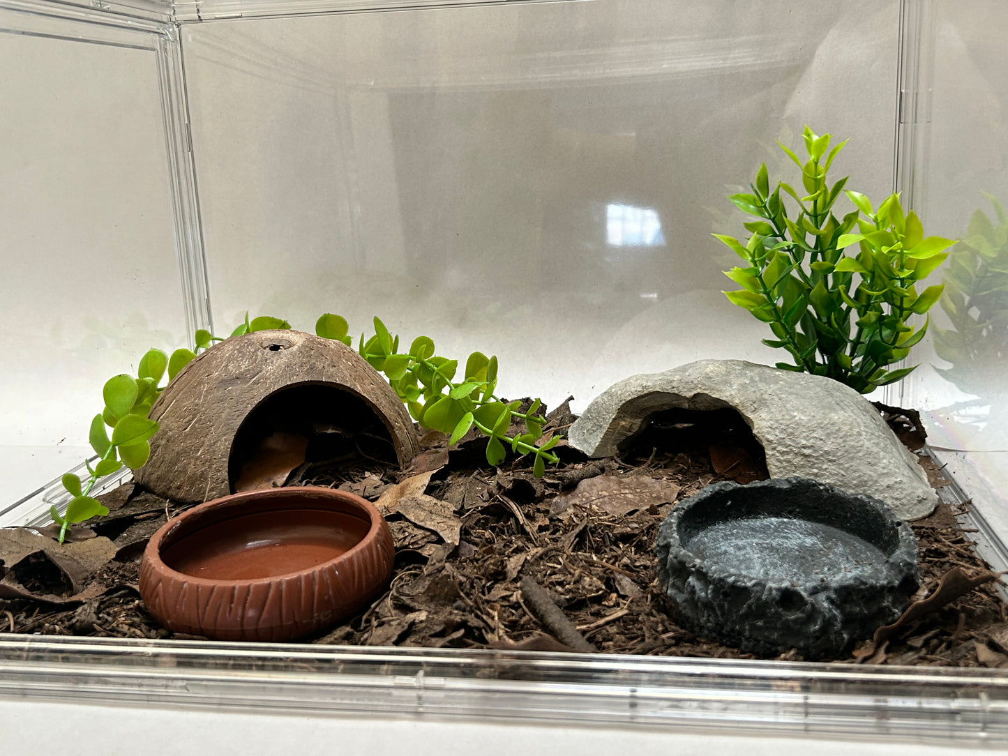 Terrario todo incluido