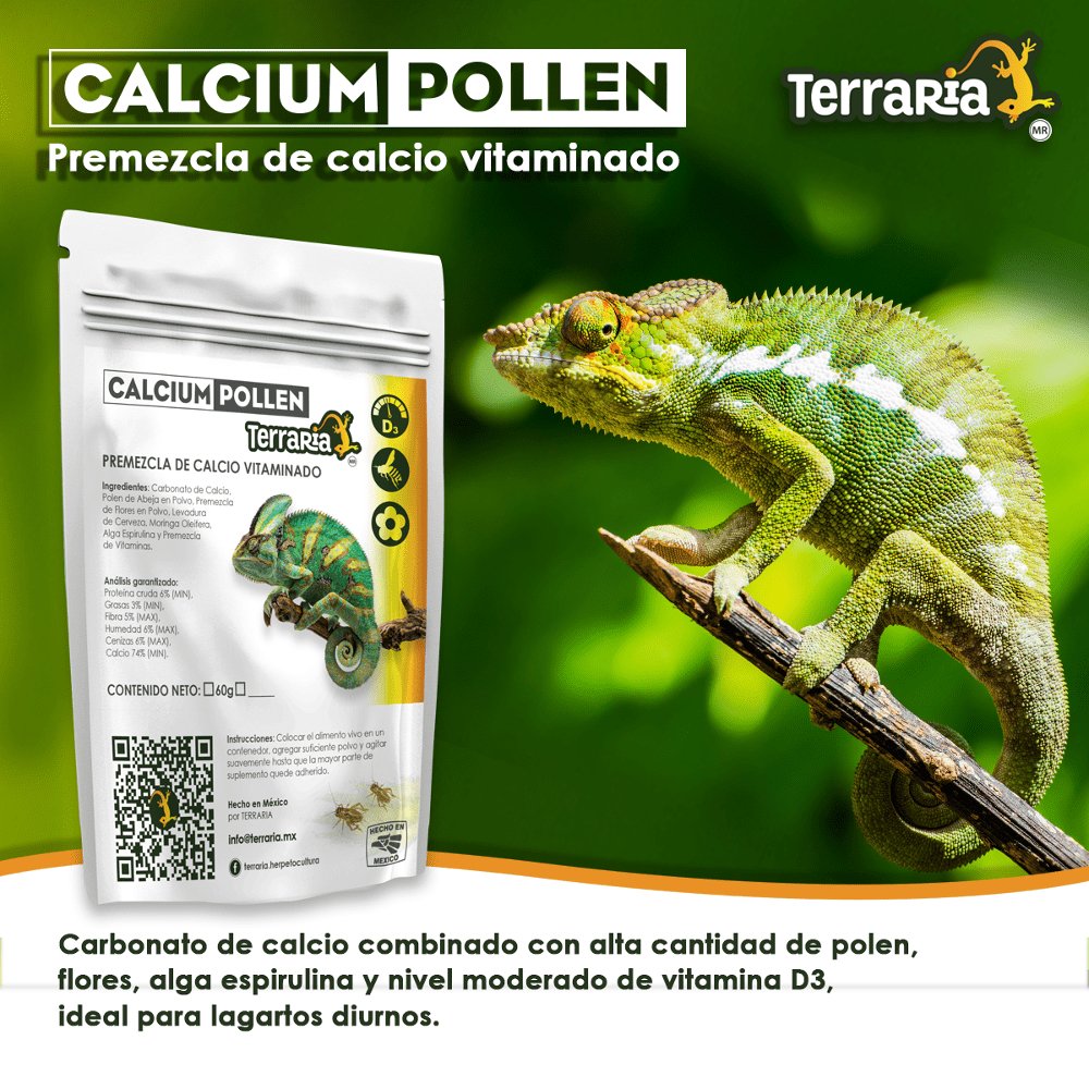 Calcio Terraria 60g - alfareptiles